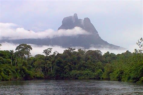 Culture & Nature Travel: Brazil, Melting Pot of Indigenous, European ...