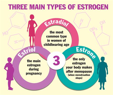 Three main types of estrogen. Infographics. Estradiol, estrone and ...