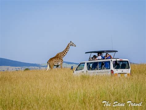 3 day Masai Mara safari review, Kenya