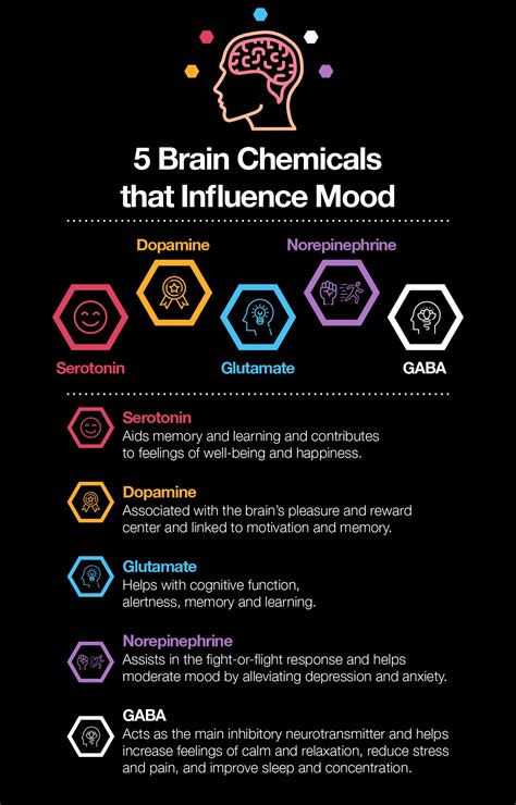 Brain Chemicals Affect Emotions: Neurotransmitters and Mood Regulation ...