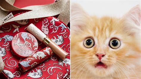 16 Cat Themed Beauty Products for Kitty Lovers | Allure