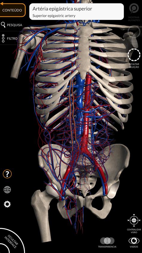 Anatomia - Atlas 3D para Android - APK Baixar