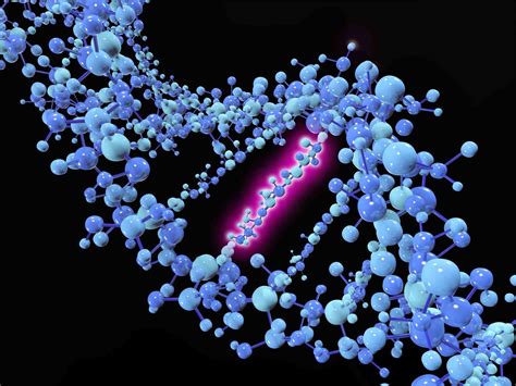 Types and Examples of DNA Mutations