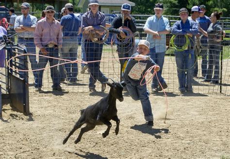 3rd Annual FFA Goat Roping | News | theeagle.com