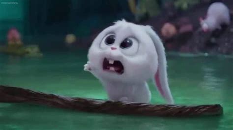 Secret Life Of Pets Snowball Sad - 1280x720 Wallpaper - teahub.io