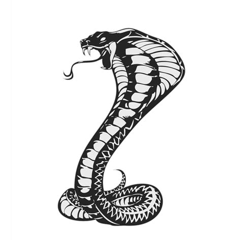 King Cobra Snake Images Drawing The king cobra does not have the ...