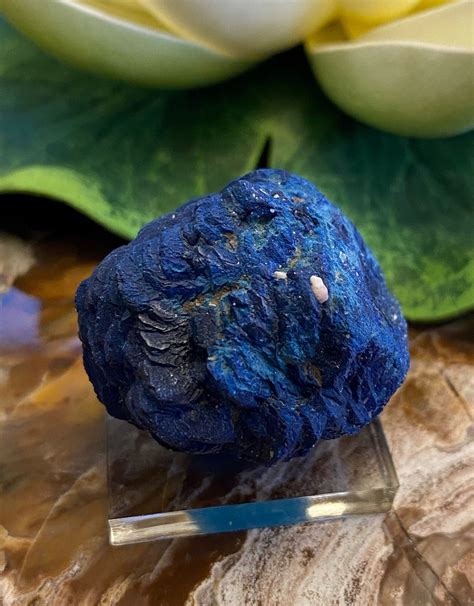 Azurite Nodule Concepción Del Oro Mine AZ6 - Etsy