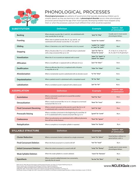 Free Printable: Common Phonological Processes Chart - NCLEX Quiz