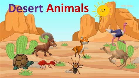 Desert Animals | Desert Animals Name | Desert Animals Video for Kids ...