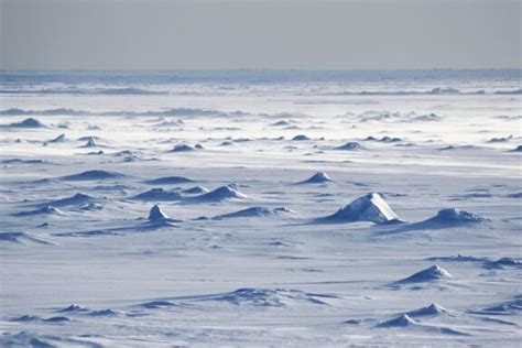 Is Antarctica a Desert? Unraveling the Secrets of the World's Largest ...