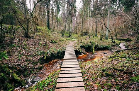 Latvia In Fall Is Fun! Here's How To Enjoy The Country Rain Or Shine