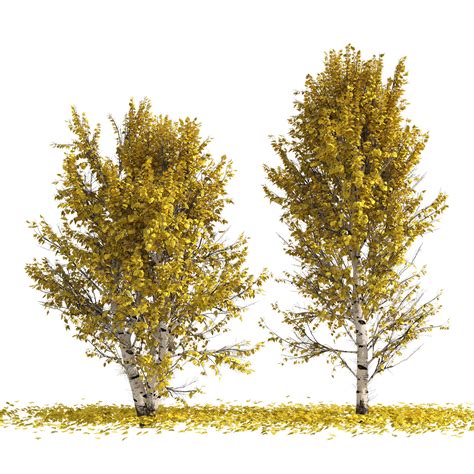 ArtStation - Fall Paper birch Trees | Resources