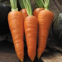 Danvers Carrot | Health Benefits