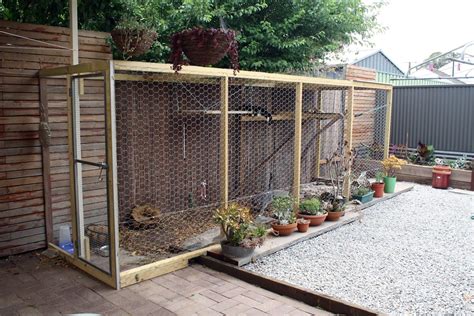 Outdoor Cat Enclosures For Sale | Foter