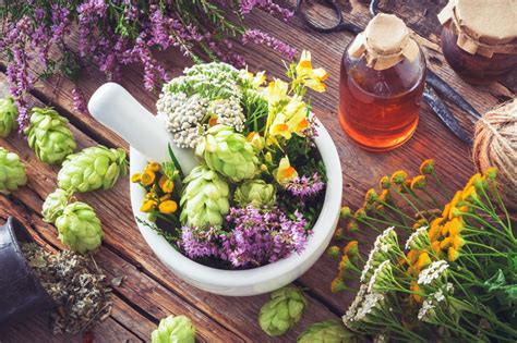 Advantages and Disadvantages of Herbal Medicine | LoveToKnow