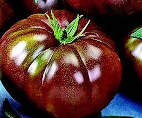 Heirloom Black Hybrid Tomato Seeds — Seeds 'n Such