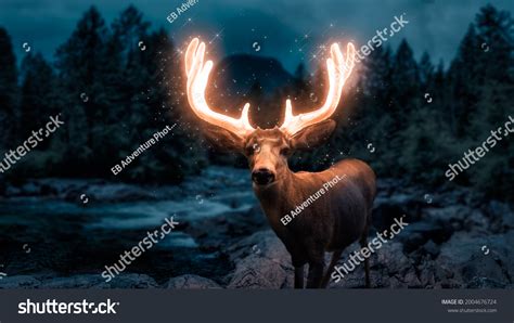 49,037 Deer In Light Stock Photos, Images & Photography | Shutterstock