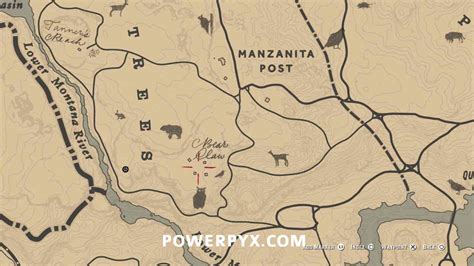 Red Dead Redemption 2 All Animal Locations (Zoologist & Skin Deep)