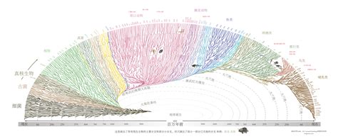 Evogeneao: The Tree of Life