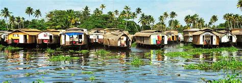 Kochi Backwaters | Things to do in Cochin