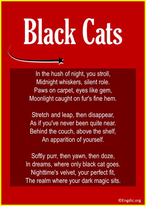 15+ Short & Funny Poems about Black Cats - EngDic