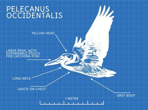 How I built this website, using Pelican: Part 1 - Setup · duncanlock.net