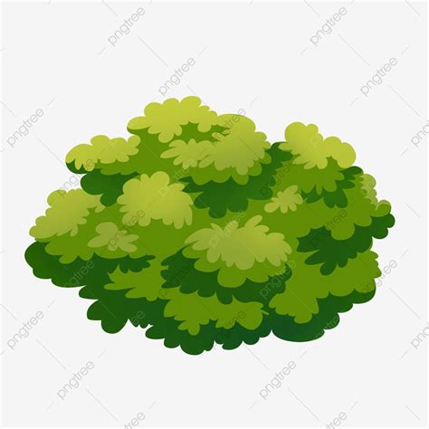 Cartoon pine tree clipart png images tree for cartoon isolated on white ...