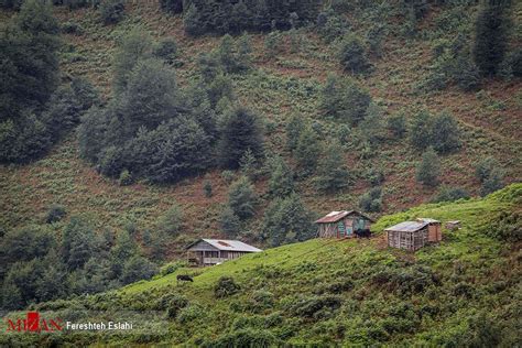 Photos: Magnificent nature of Masal in northern Iran