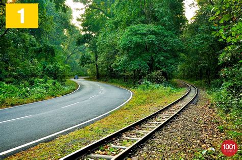 Sukna siliguri - Sukna Forest Siliguri - Sukna tourism