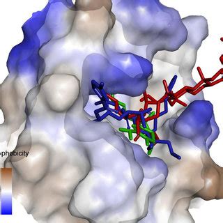 2D structure of ligands clathrin_A (A), clathrin_B (B), clathsterol ...