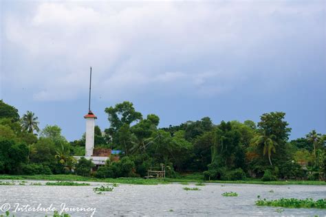 Kochi Backwaters Cruise- A Lesson in Ornithology and Ecology ...