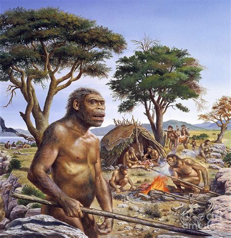 Homo Erectus Hunting