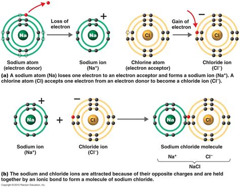 Dot And Cross Diagram For Sodium Chloride