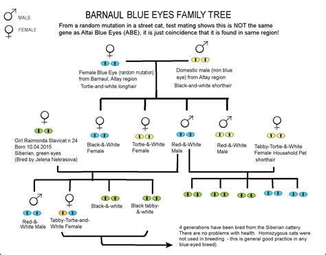 BLUE-EYED BREEDS / DOMINANT BLUE EYE (DBE)