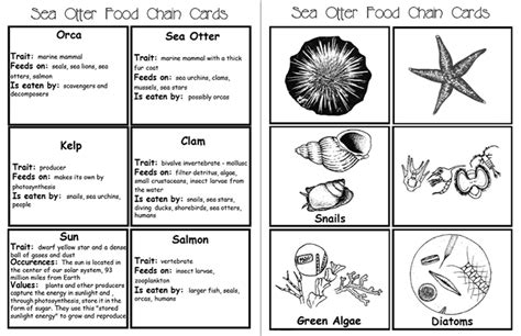 Here's a series of picture/fact cards for studying the sea otter food ...