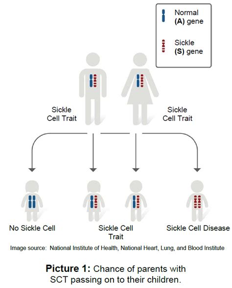 Sickle Cell Anemia Chart