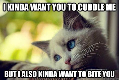 20 Cutest Cuddle Memes | Cute animal memes, Funny cats, dogs, Funny animals