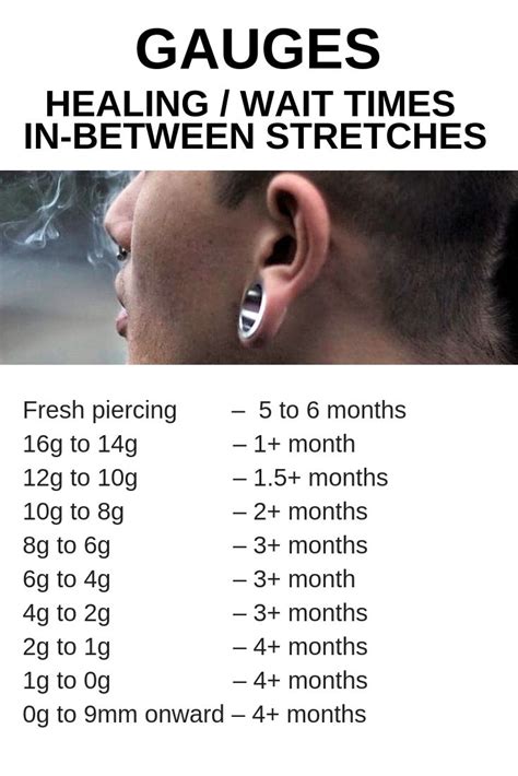 ear stretching tips | gauge sizes | Ear peircings, Stretched ears ...