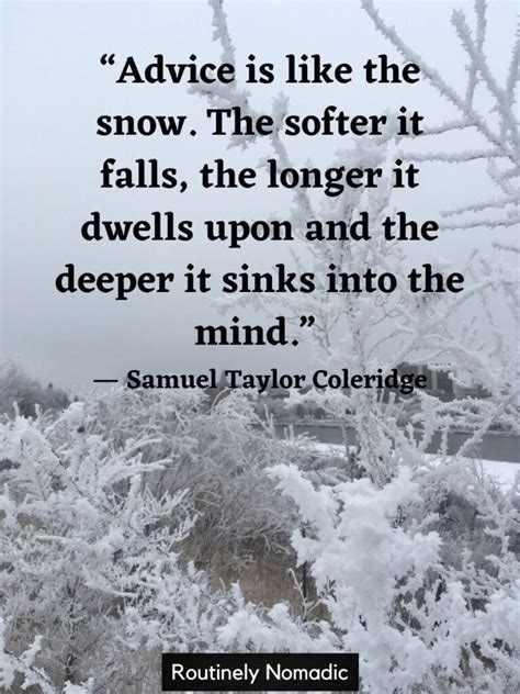 100 Best Funny Snow Quotes for Those Snowy Days | Routinely Nomadic