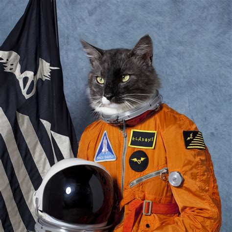 Funny Cats: First Cat In Space!