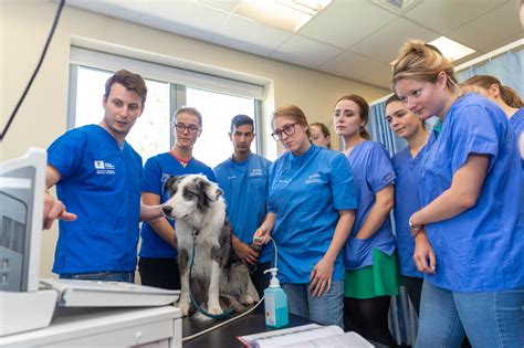 News - Nottingham Vet School earns prestigious accreditation from the ...