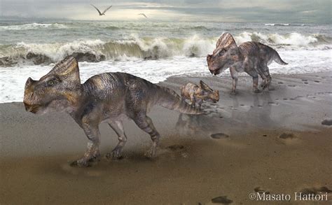 Montanoceratops Pictures & Facts - The Dinosaur Database