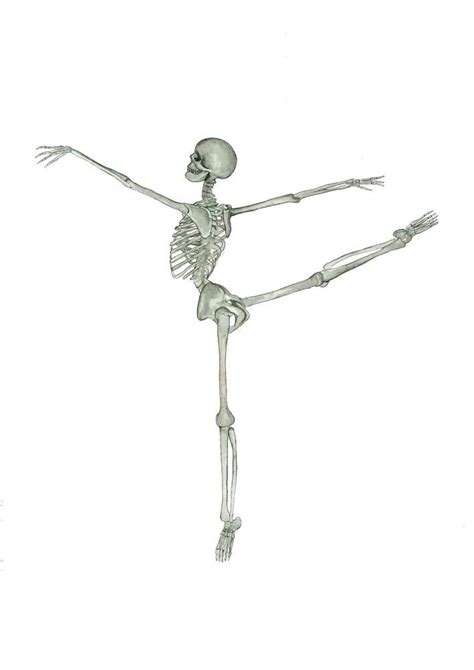 ballerina skeleton, anatomy art, dancing dancer, choreography, fitness ...