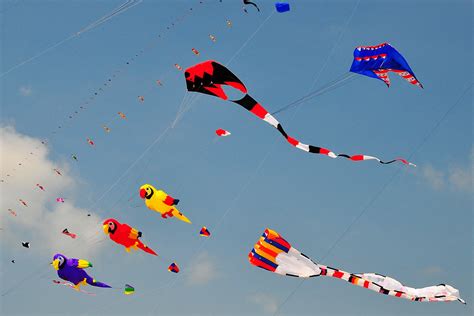 Uttarayan, the kite flying festival in India - Savaari Car Rentals Blog