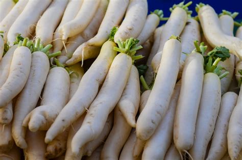 In a Nutshell: Eating Radish Daikon - Everything Radish