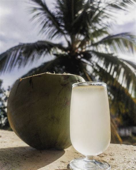 Coconut Wine : r/winemaking