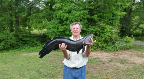 NEW WORLD RECORD NORTHERN SNAKEHEAD! | SnakeHead Fishing