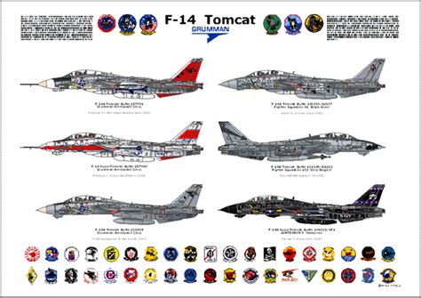 HOME OF M.A.T.S. - The most comprehensive Grumman F-14 Reference Work ...