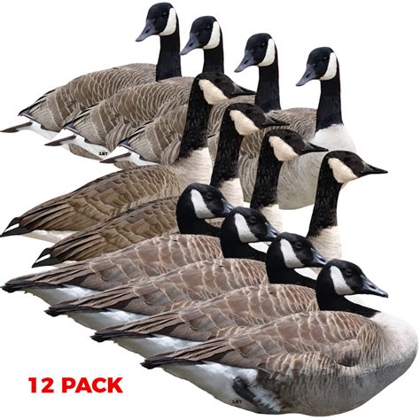 Canadian Goose Silhouette Decoys - 12 Pack - Cast Cray Outdoors