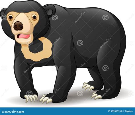 Malayan Sun Bear Cartoon Vector | CartoonDealer.com #79585347